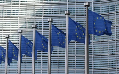 The EU ESG Simplification Omnibus: A Welcome Overhaul for Businesses